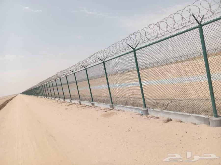 Shade Nets, Palm Trees, and Umbrellas64589642780418110