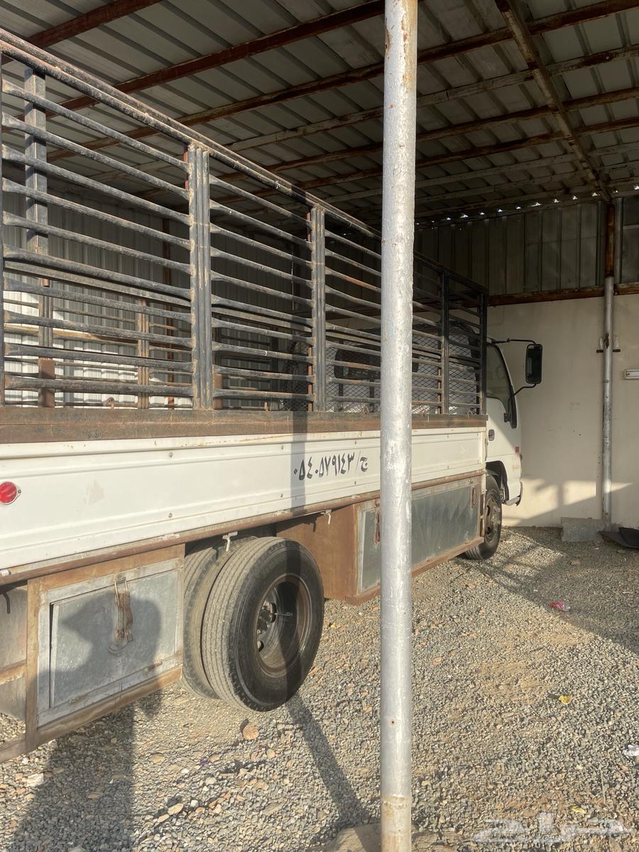 دانه الموقع بيشه64589713832706111