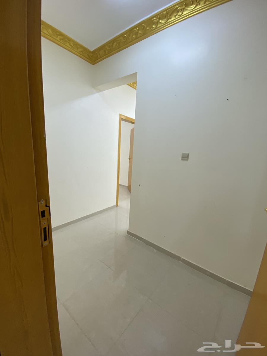 شقة بلاطة شبه جديدة للإيجار - حي العريسة الشمالي64589613090819113