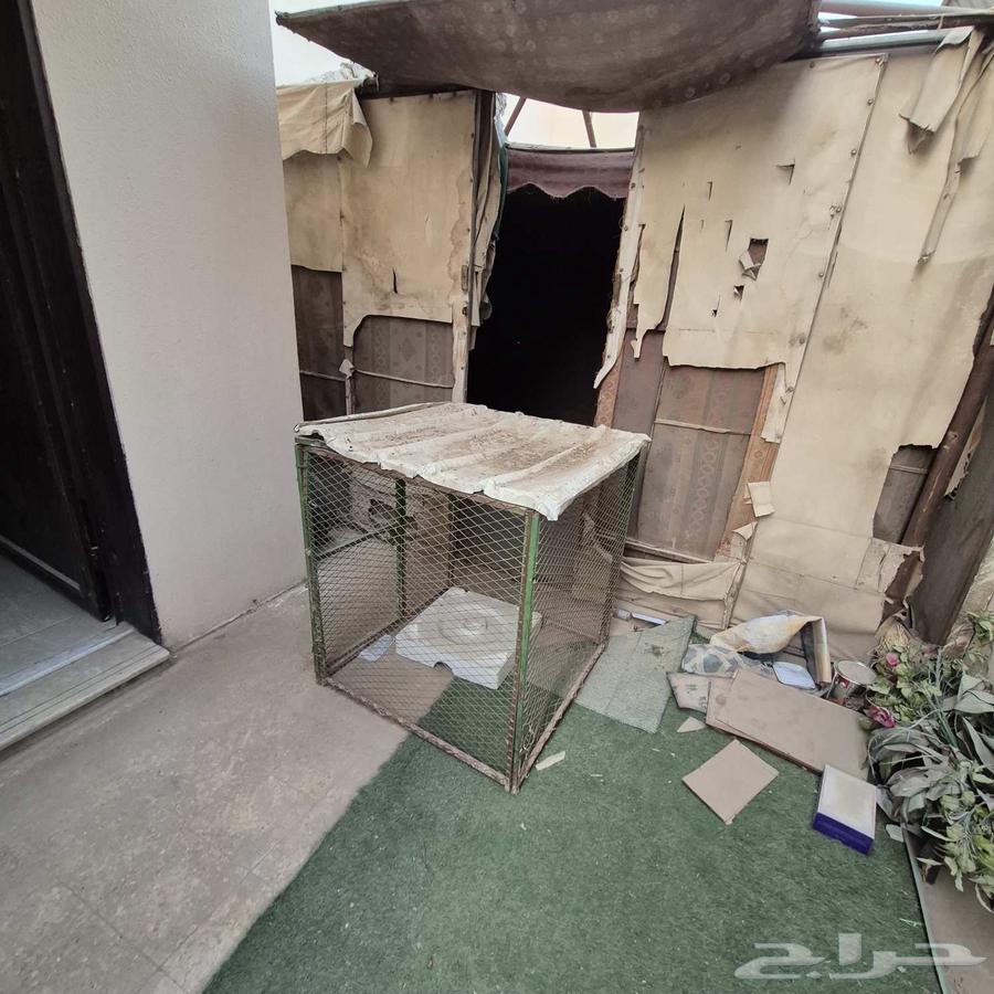 3 شبوك للبيع64589571580546114