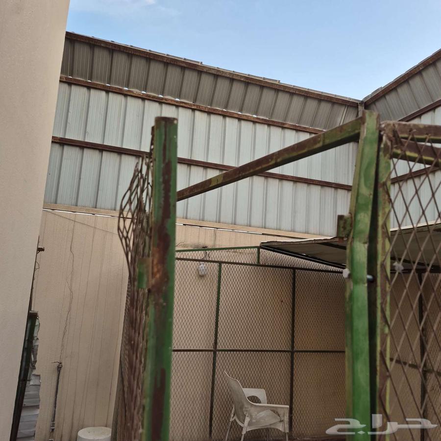 3 شبوك للبيع64589571580546112