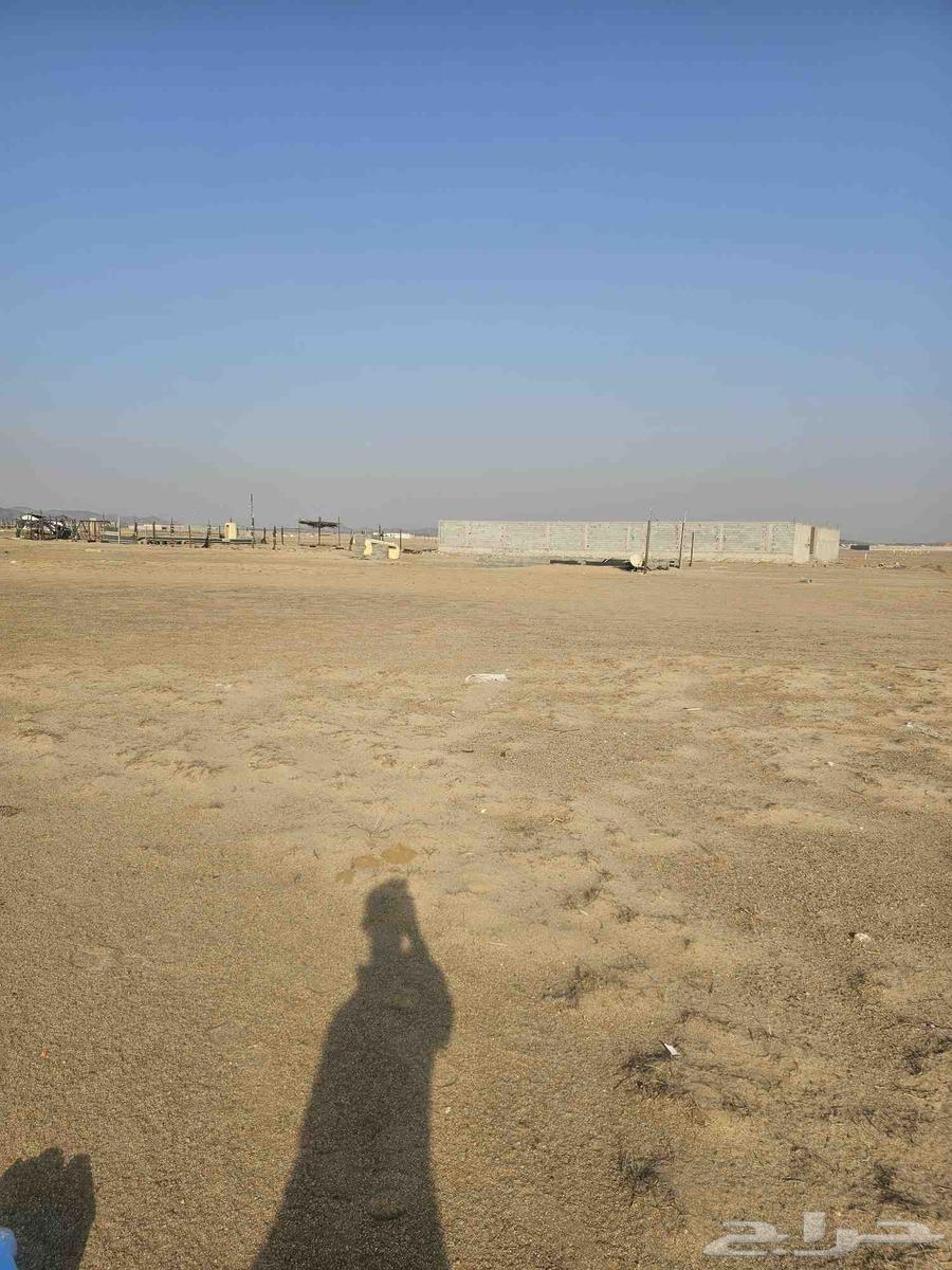 للبيع ارض في مخطط طيبة الفرعيه حي الندى الجزء 602 مساحة840م64589526545794112