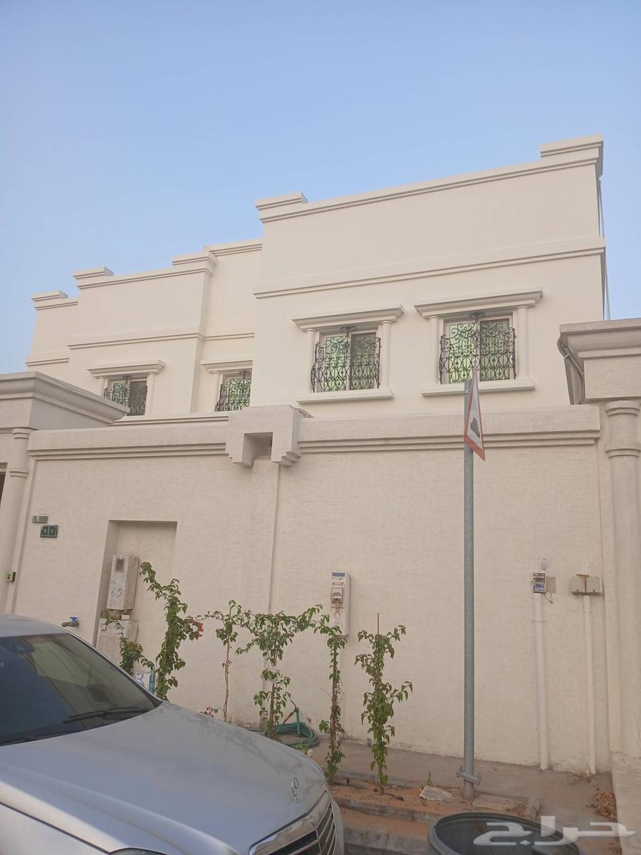 صباغ ترميم بناء ملاحق وجميع اعمال الحداده64589699849091114