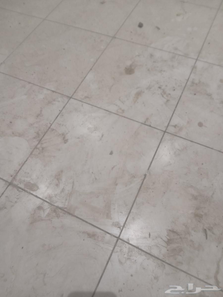 Pakistani tile worker in Khamis Mushait64589556705281110