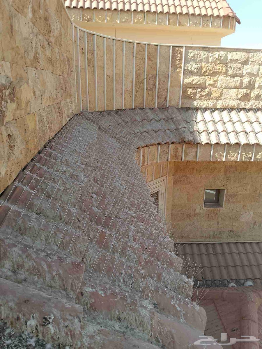 Pigeon repellent, window installation, AC cover installation, socket installation, mobile number64582770557058112