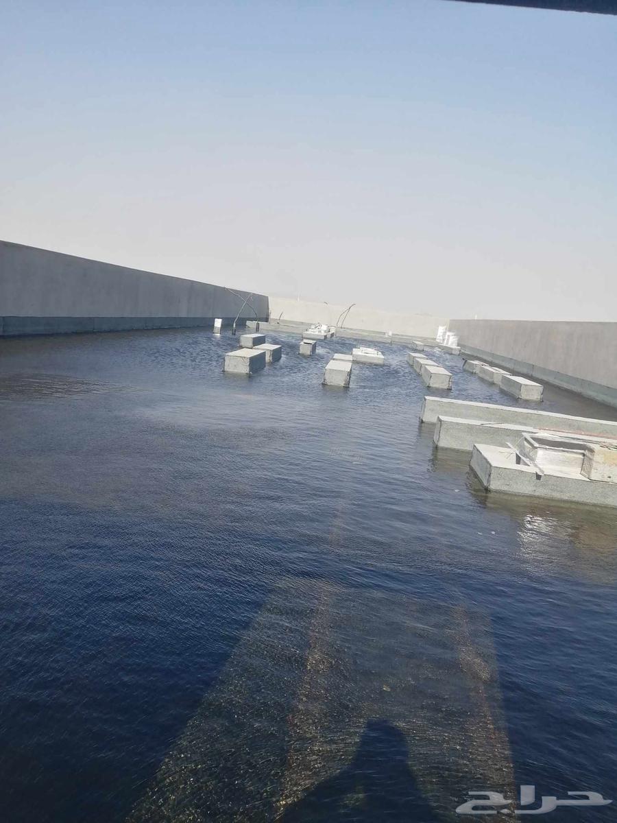 Thank you for your trust and contact, please let us know how we can serve you and64582629055106114