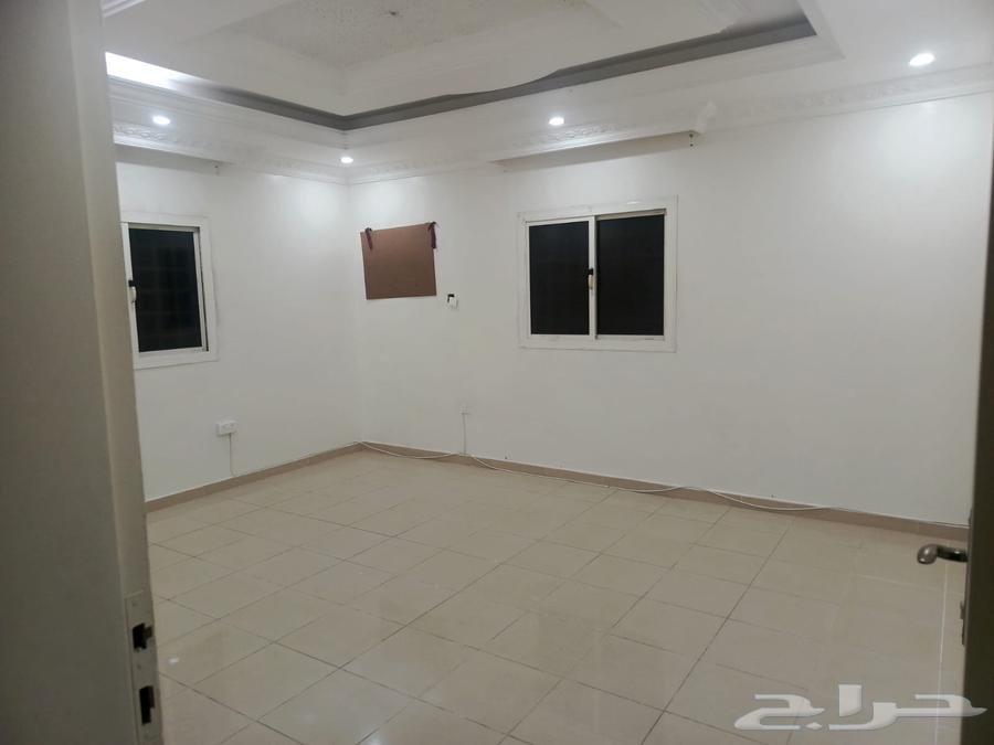 شقة للإيجار