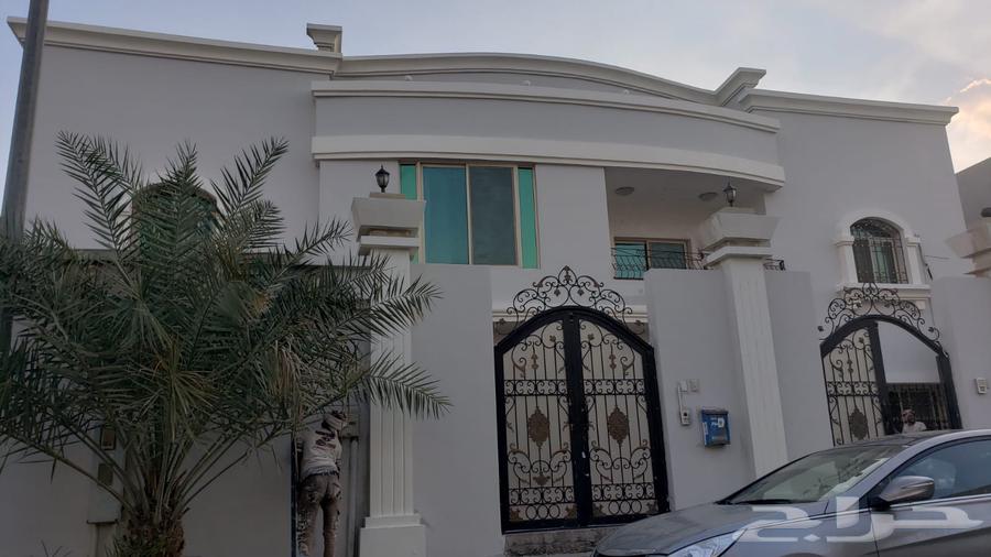 صباغ ترميم بناء ملاحق وجميع اعمال الحداده64589699849091110