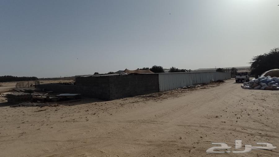 مزرعه بمليجه جنوب النعيرية 20 ك صك الكتروني64589584131075114