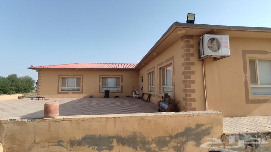 مزرعه بمليجه جنوب النعيرية 20 ك صك الكتروني64589584131075112