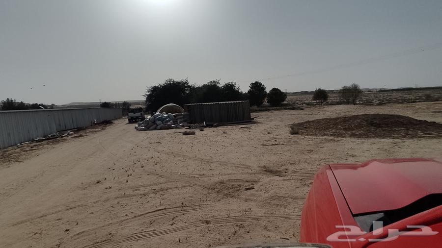 مزرعه بمليجه جنوب النعيرية 20 ك صك الكتروني64589584131075113