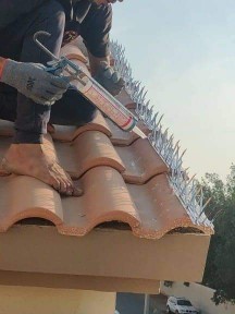 تركيب طارد حمام بمكة شبك حمام بمكة طارد طيور بمكه64589585062915110