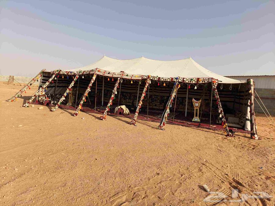 تاجير بيوت شعر وجلسات شعبيه وكراسي وطاوله طعام64589684583170110