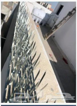 تركيب طارد حمام بمكة شبك حمام بمكة طارد طيور بمكه64589585062915113