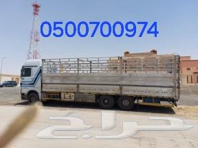 لوري مسكس سكس عشرة متر نقل داخل وخارج السعوديه64589699980929112
