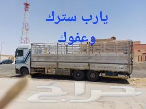 لوري مسكس سكس عشرة متر نقل داخل وخارج السعوديه64589699980929114