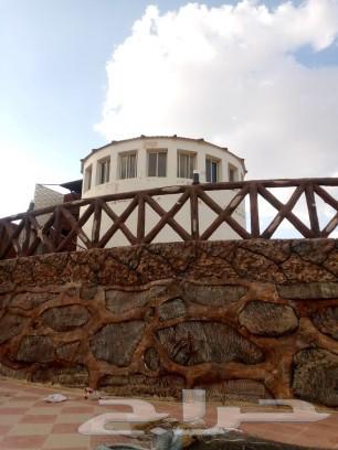 General contracts to contact via numbers64582629173507113