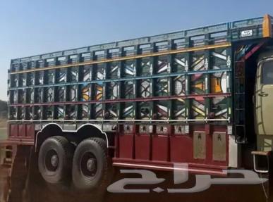 مطلوب صندوق سكس64582708833538110