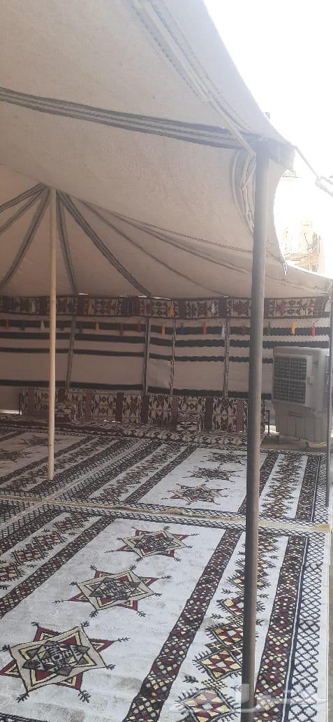 Abu Hasham, I set up, sew, and install tents and carry out camping operations64589613431426110