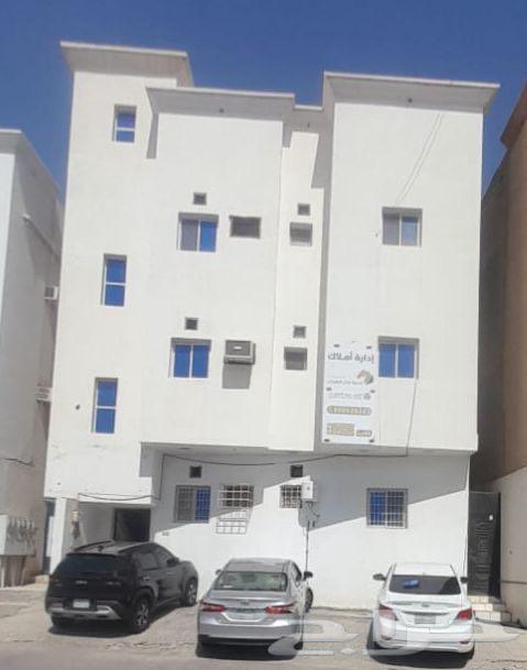 شقة للإيجار