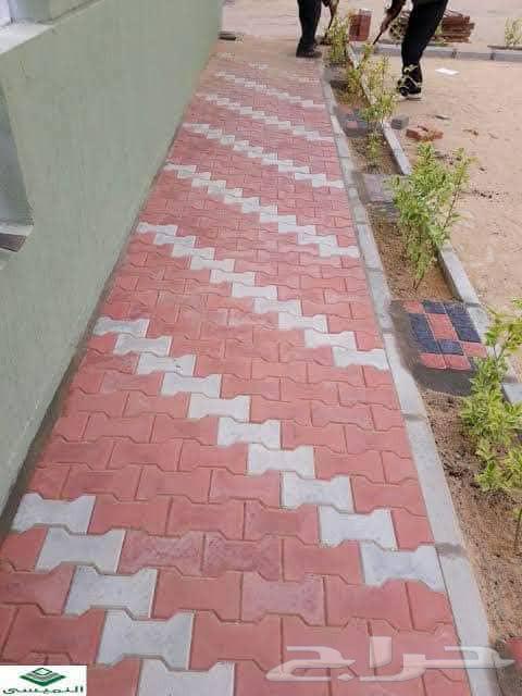 Interlock and Border Master64589684654465112