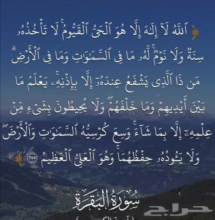 ترميمات منازل هدم وتشطيب وبناء64582756502273110