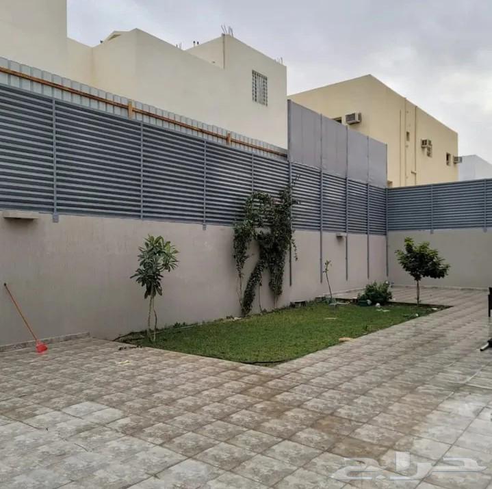 حداد سندويش بنل جلسات لكسان حداد شينكو64589541686402111