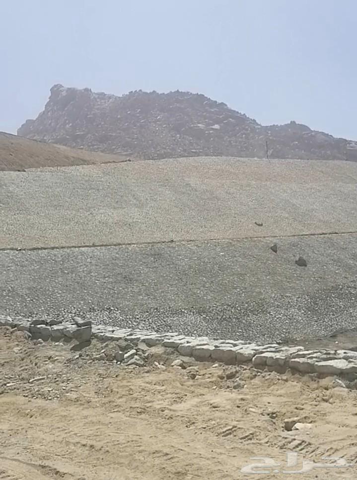 مقاول جميع انواع الحجر الربراب وتلابيس توريد وتركيب اتواصل و64589599574401114