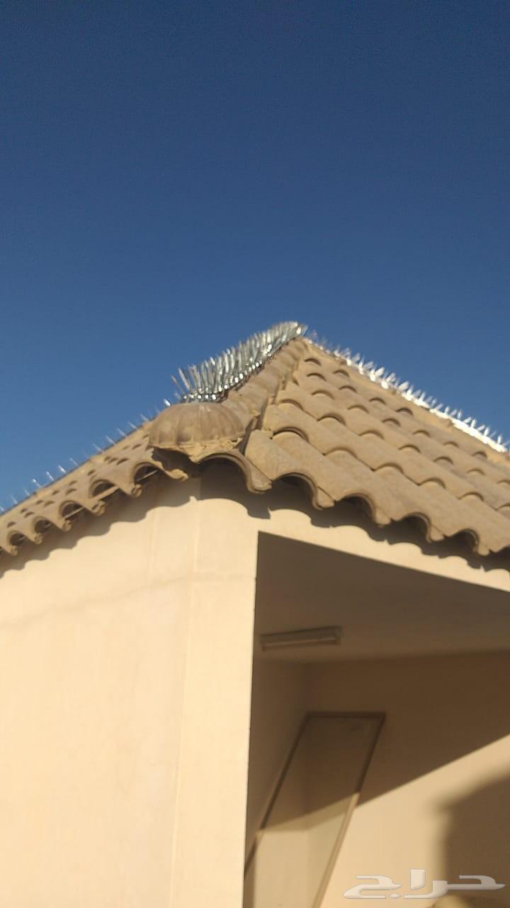 طارد حمام تركيب شبك اشواك لمنع الحمام64589584452994111