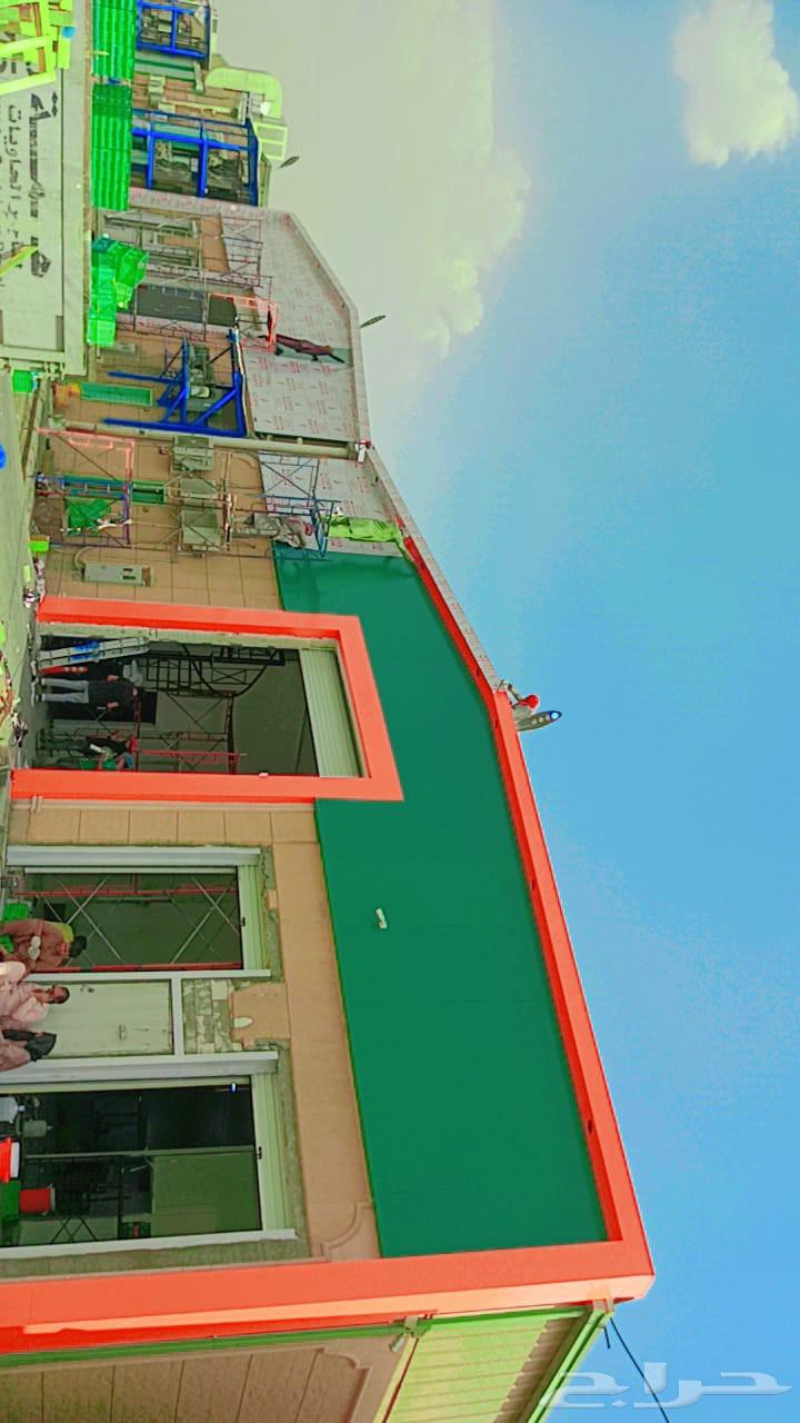 تر يب  لادينج64589528018818112