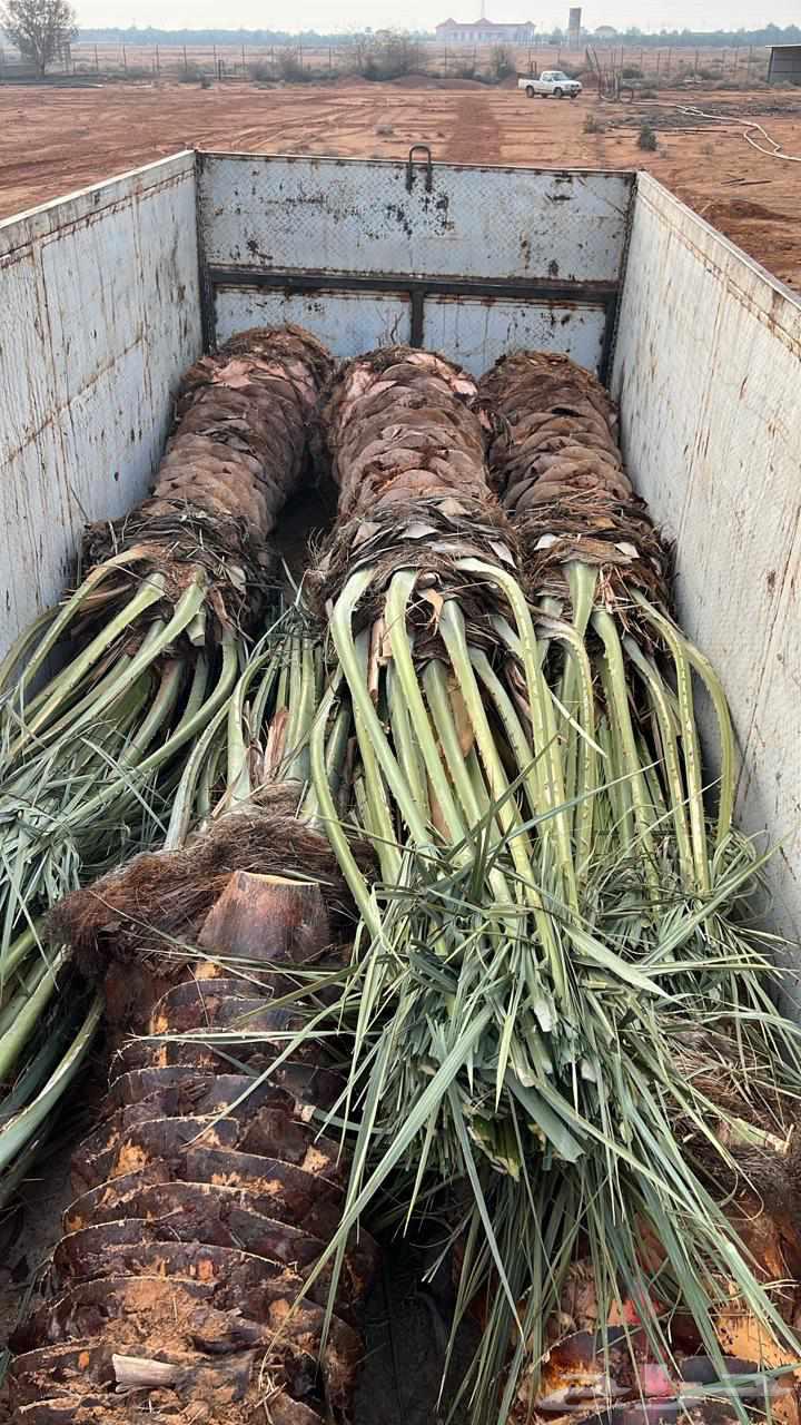 Agricultural Engineer for Farm and Resort Design and Maintenance64582739672961114