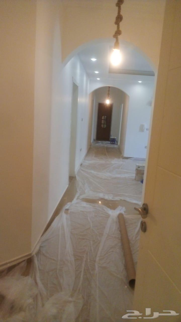 للايجار شقه ( عوائل )64589541335939111