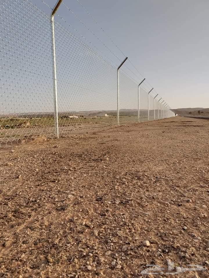 We install fences and palm trees, sports field fences, all types of fencing64582644640001111