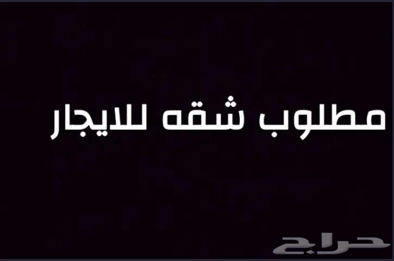 ابي شقه ثلاث غرف64589627217537110