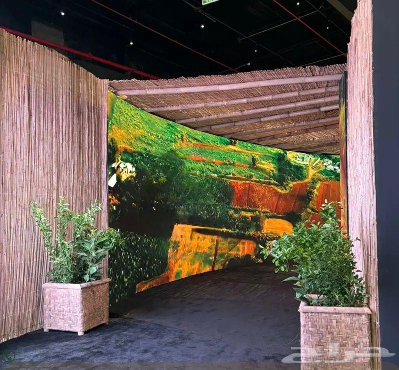 جلسات بامبو وخيزران تراثية مظلات سواتر برجولات64589713885569112