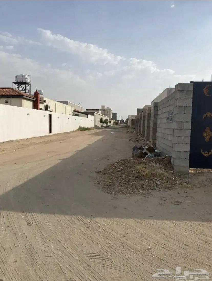 حوش بصك الكتروني للايجار او البيع العرفا الشرقية64589598819075114