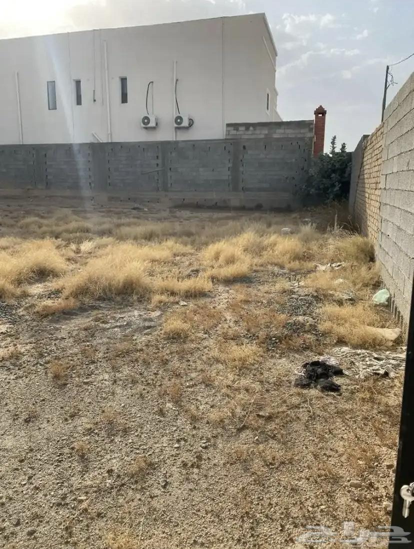 حوش بصك الكتروني للايجار او البيع العرفا الشرقية64589598819075113