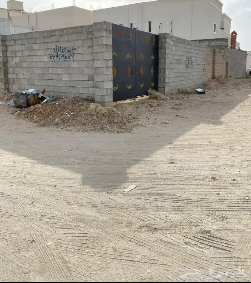 حوش بصك الكتروني للايجار او البيع العرفا الشرقية64589598819075111