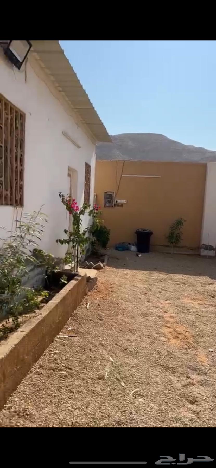 حوش في منطقه الواشله64582468885506110