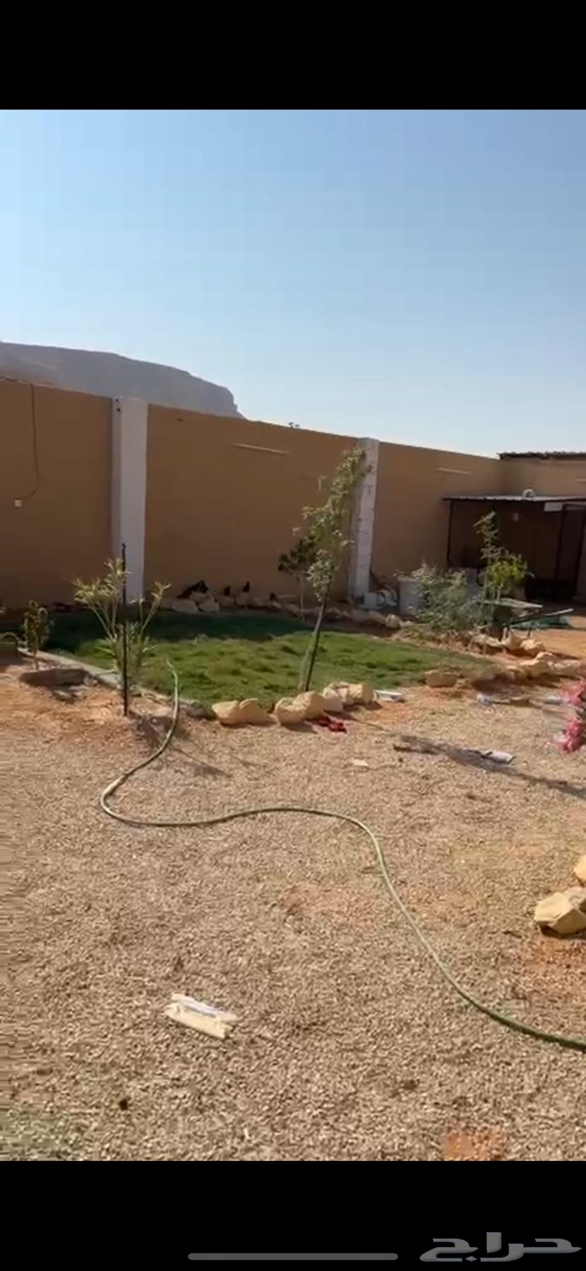 حوش في منطقه الواشله64582468885506111