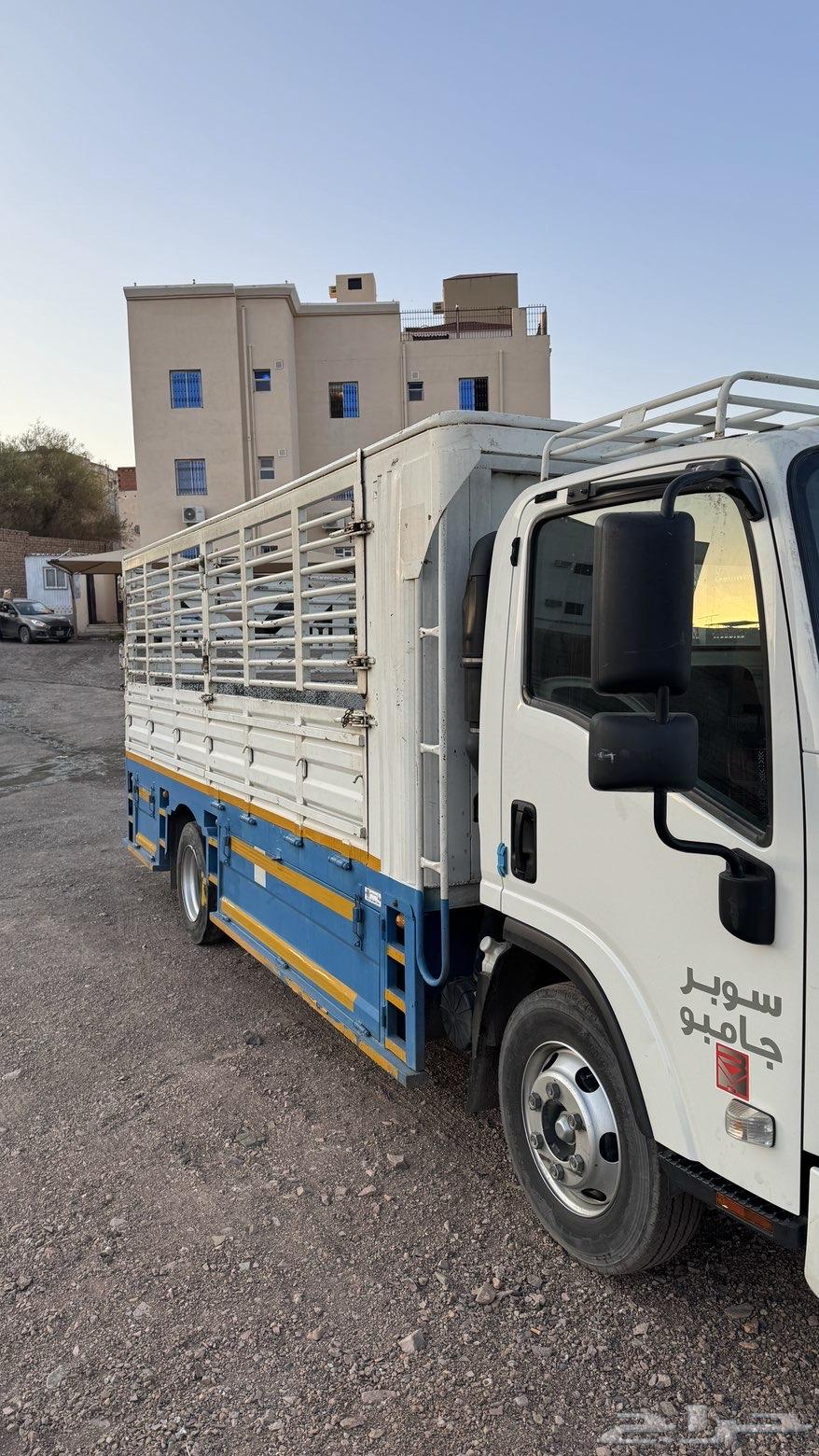 تحميل اغراض داخل المدينة المنورة جاهز صندوق 5 متر64589686299779113