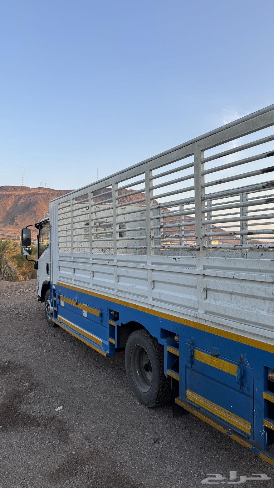 تحميل اغراض داخل المدينة المنورة جاهز صندوق 5 متر64589686299779111