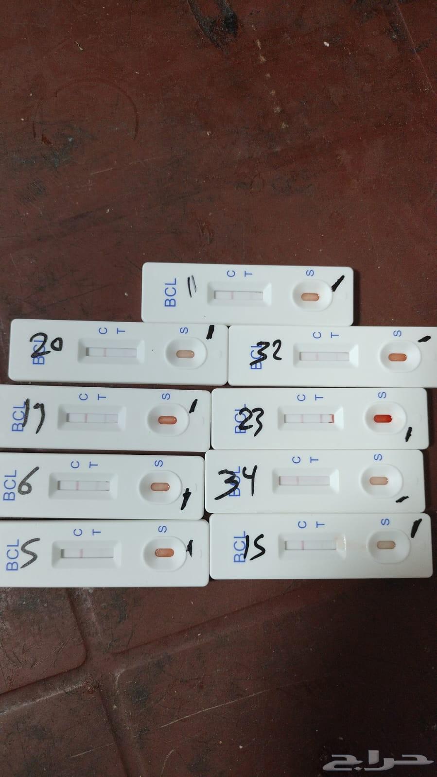 Sonar and Malta Test for Halal64589556993281112