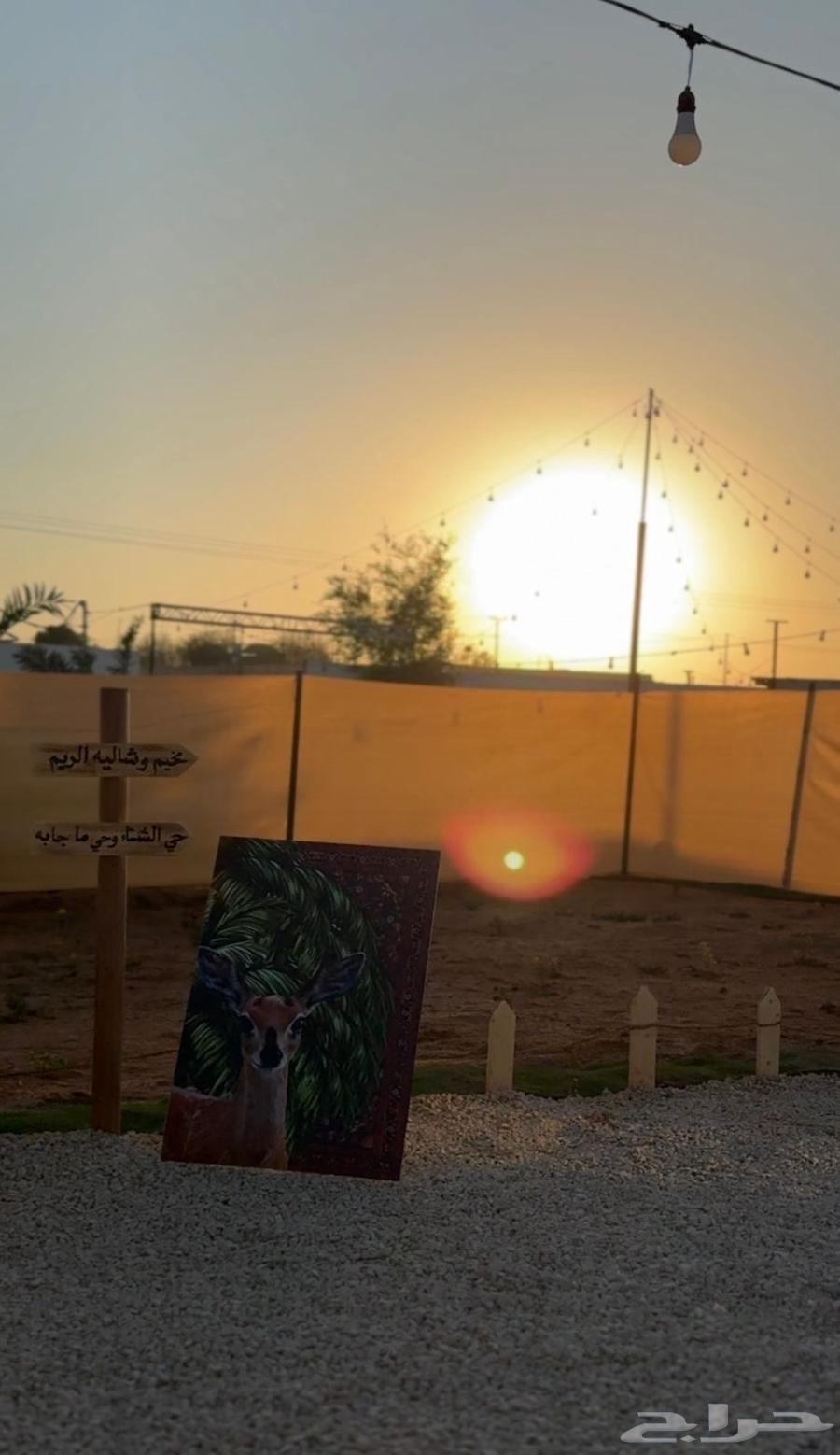 مخيم الريم للإيجار64589598394113111