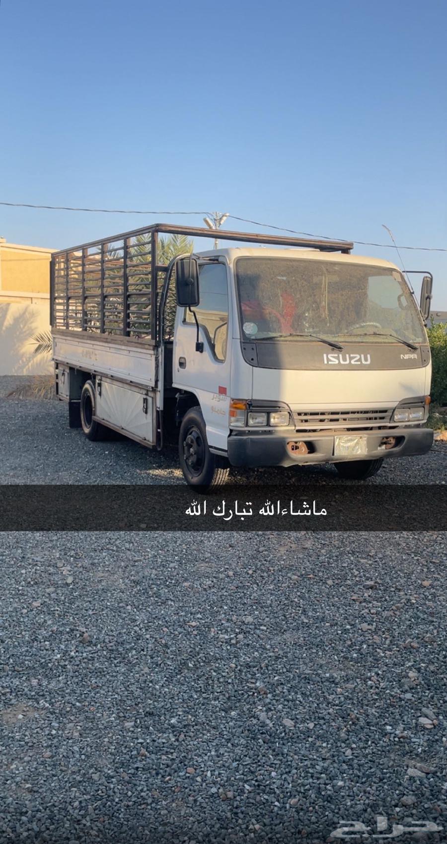 دانه الموقع بيشه64589713832706113