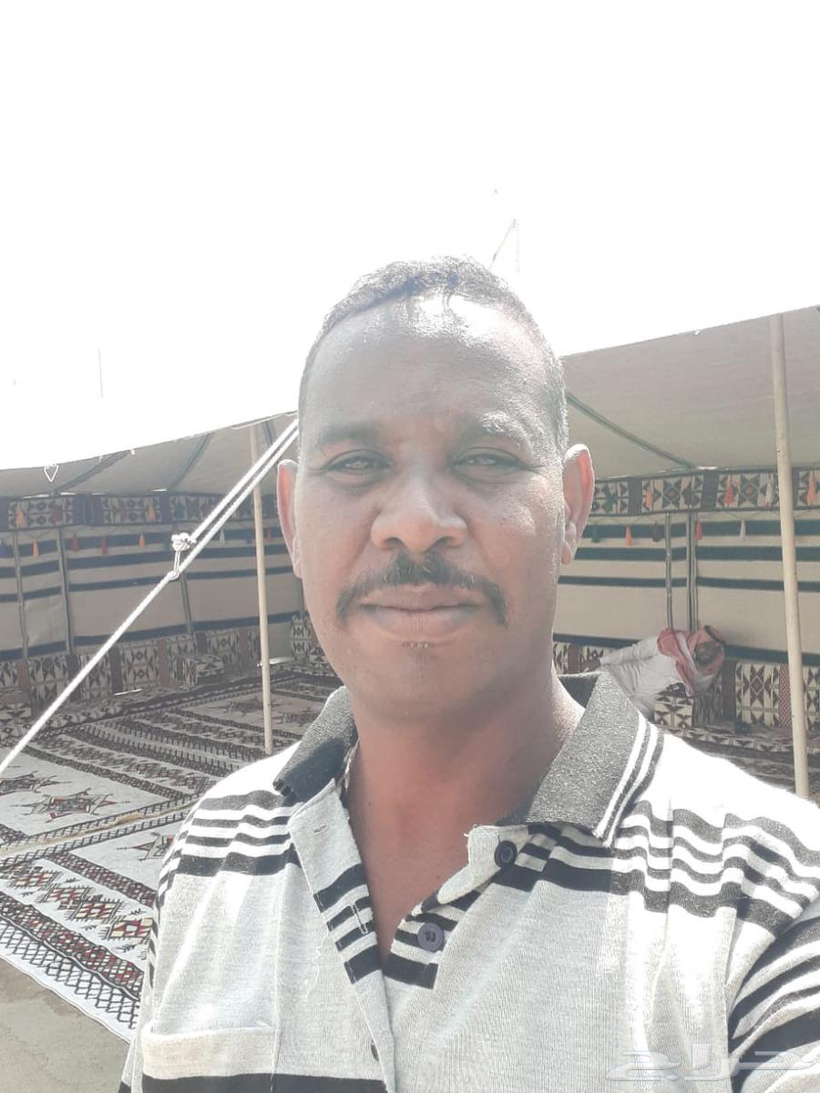 Abu Hasham, I set up, sew, and install tents and carry out camping operations64589613431426111