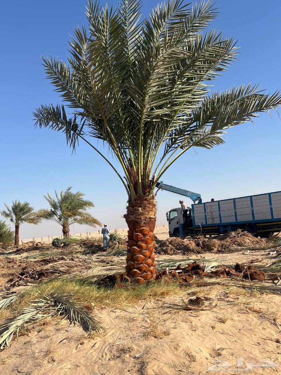 Agricultural Engineer for Farm and Resort Design and Maintenance64582739672961112