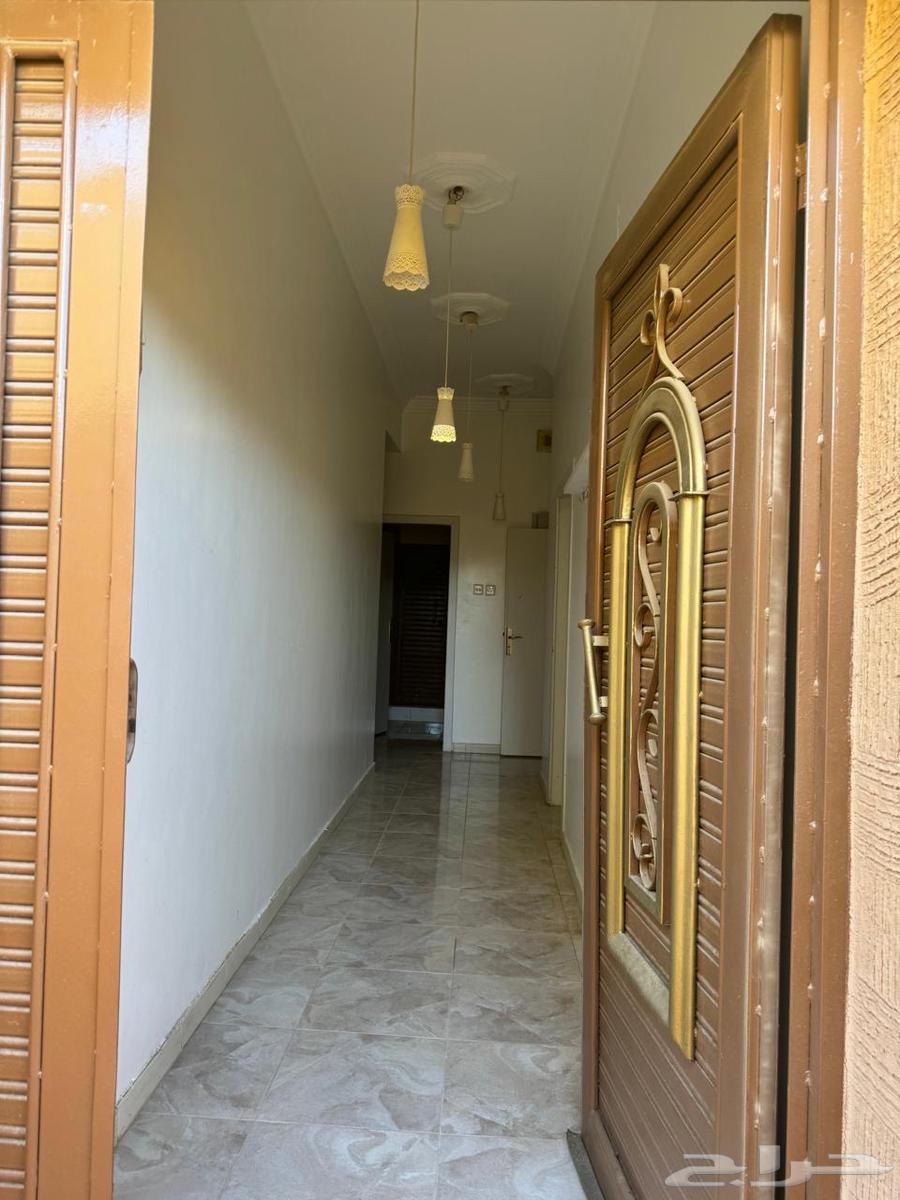 شقة للإيجار أحد رفيده ال بريد64582453693186111