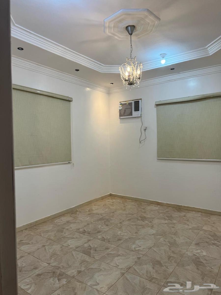 شقة للإيجار أحد رفيده ال بريد64582453693186112