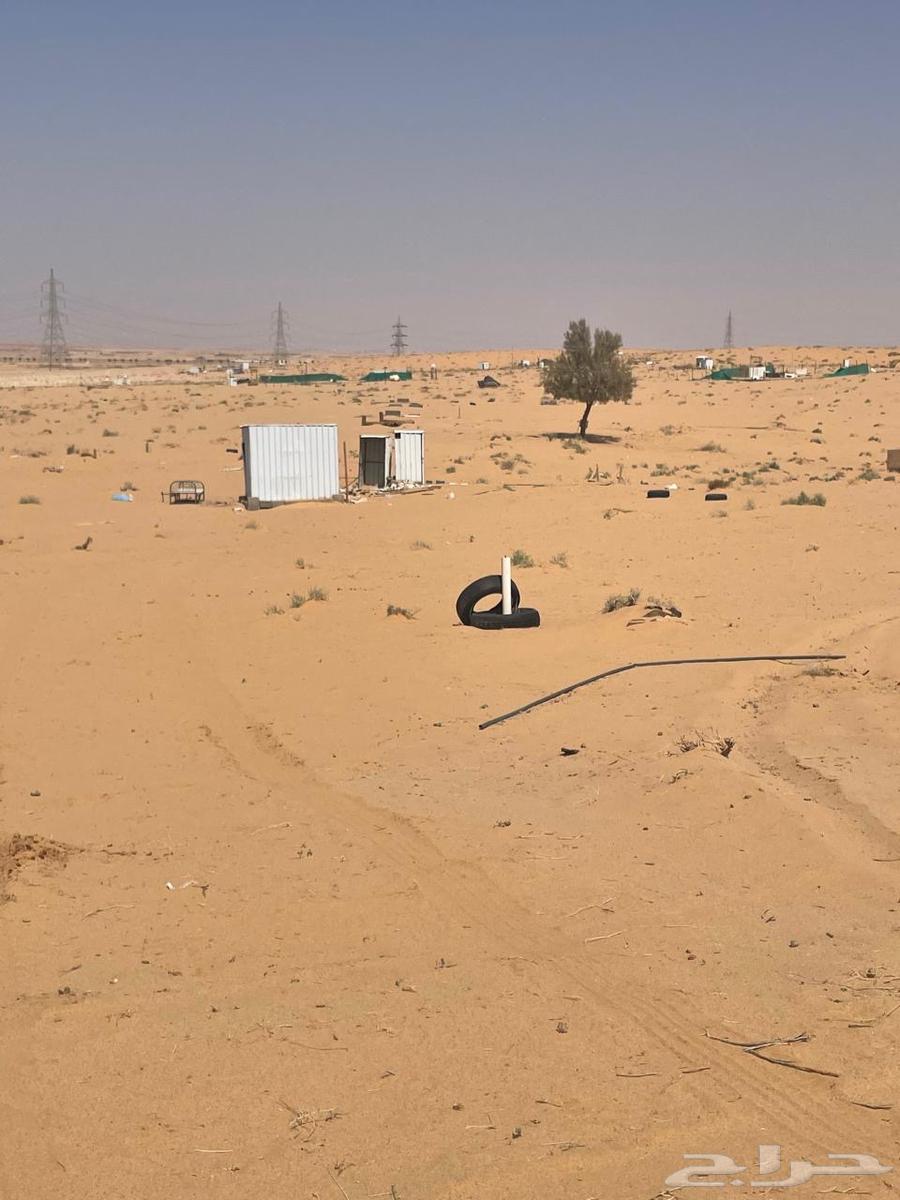 ارض زراعية للبيع بالقصيم بريده64589598680450112